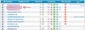 Domain/DNS Management Panel