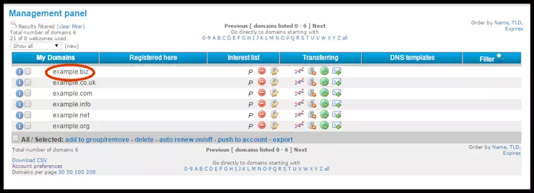 Domain Management Panel