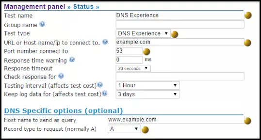 Netmon DNS